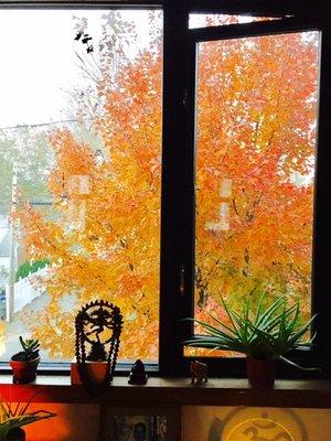 The view of fall!