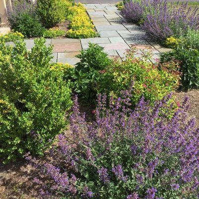 Pattern flagstone walkway with drought-tolerant, deer-proof planting