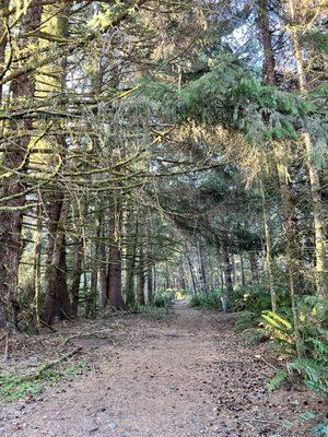 Port Orford Heads State Park