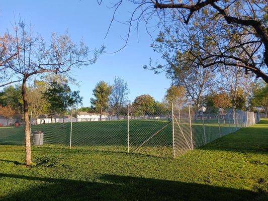 Newer Dog  park fenced area