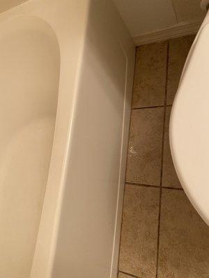 The cleaned bathroom floor