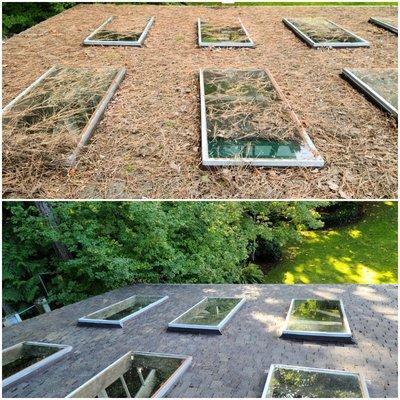 Roof debris removal, softwash, and skylight cleaning in Woodinville