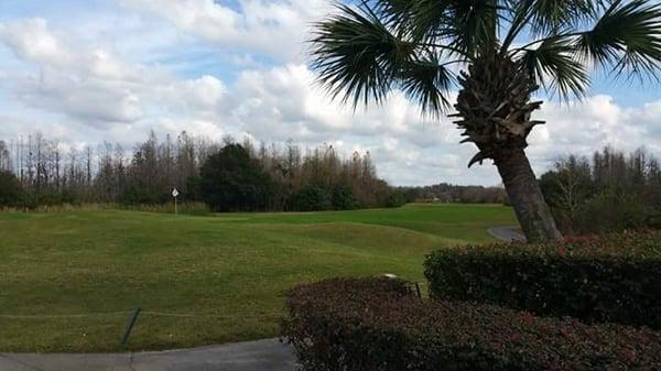 9th green looking back from the clubhouse.