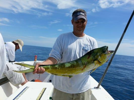 Mahi/dolphin was a nice catch with Bent Charters fishing offshore Tampa Bay area. #deepsea