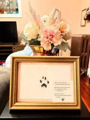 Dr. Parent sent an ink stamp of Picasso's paw print with her sympathy card - I framed it immediately.