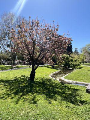 Green lawns and a stream running through