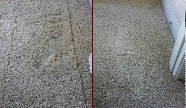 Before and After of Dog Scratch patch