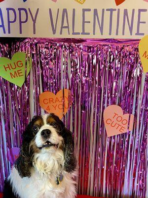 Cute photo booth in office for Valentine's Day.