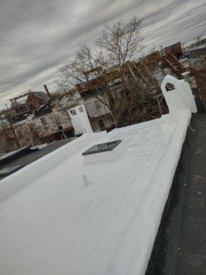 Silicone Layer on Roof and 2 new Skylights