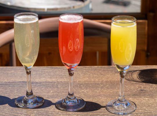 Mimosa Flights