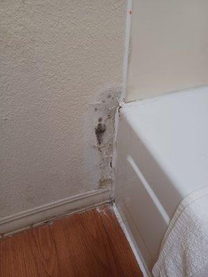 Mold on ghe walls and base of bathtub