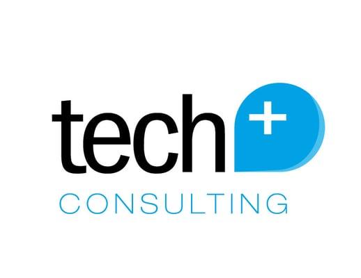 Tech Plus Consulting LLC