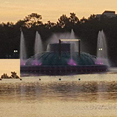 Lake Eola Park, Breast Cancer Walk 2018