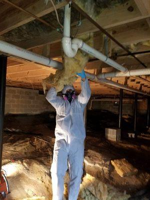 Mold Remediation