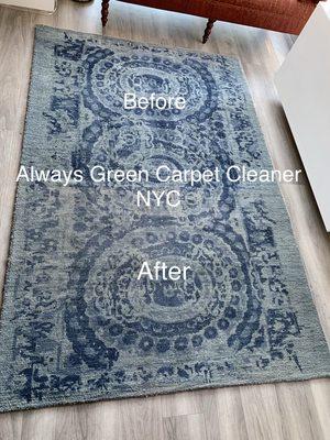 Area Rug Cleaning