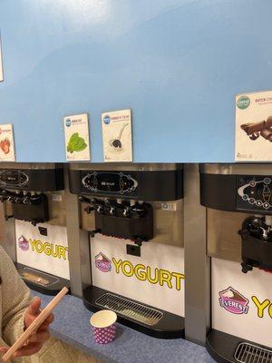 some yogurt options! love this place