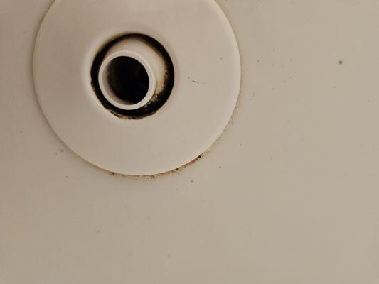 Black mold around bathtub jets.