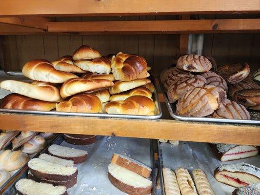 Fresh fresh pan dulce . Nice n warm