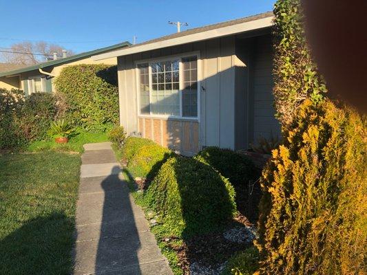 his home had drywood termites and fungus at the exterior wall. We removed all damaged wood fumigated the entire structure.