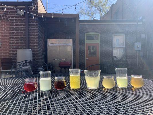 Kombucha flight.