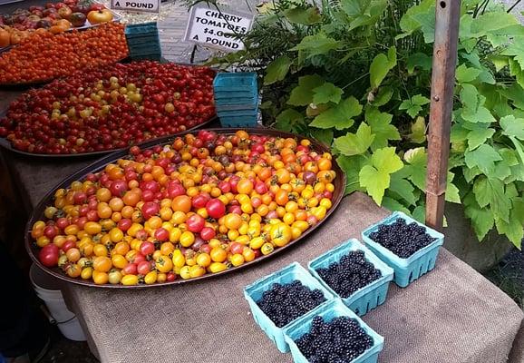 Portland Farmers Market