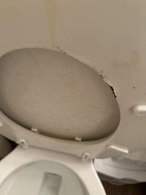 wood toilet seat moldy and falling apart