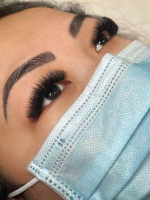 Mega Volume Lashes