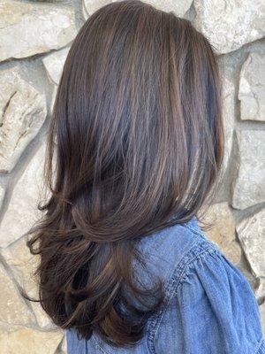 Highlights and haircut and blowdry