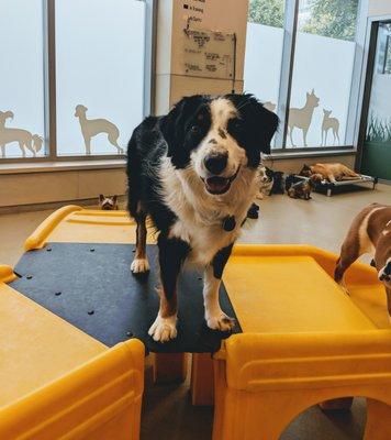 Indoor play space