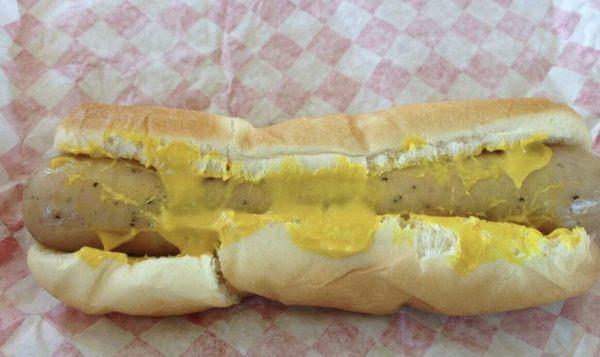 Polish Mustard Dog