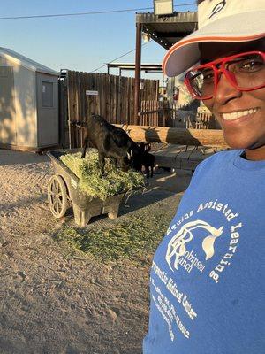 Hey... look at me... having fun with the baby goats while working a volunteer maintenance shift!