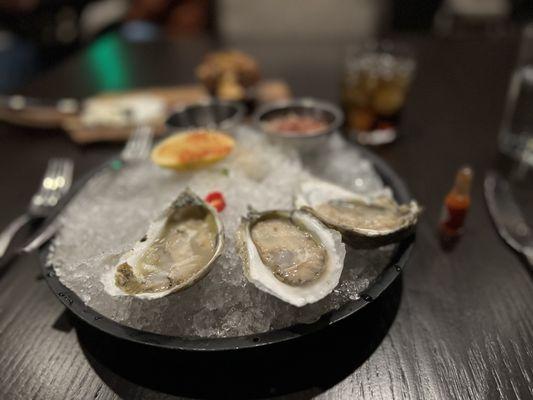 Oysters in the Half Shell* **