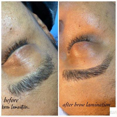 Brow Lamination on full & curly brows.