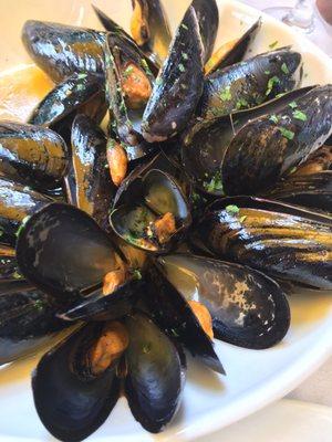 Mussels (White)