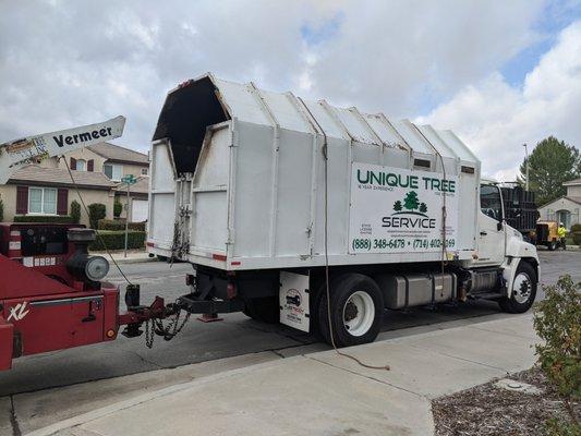 Unique Tree service