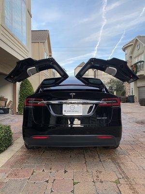 Model X Detailed and Protected