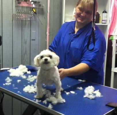 We offer professional grooming services for your dog or cat.