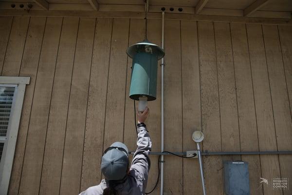 A vector control inspector checks a New Jersey Light Trap, which is used to collect adult mosquitoes.