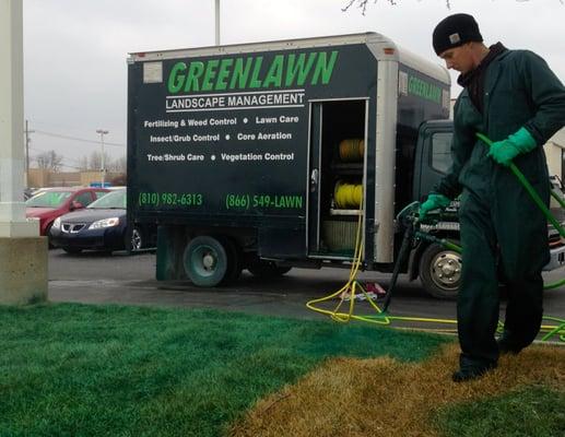 "Painting" a lawn with green pigment dye in honor of St. Patrick's Day