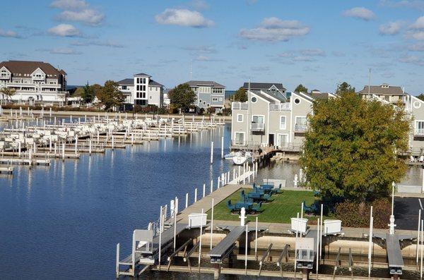 Harbor view