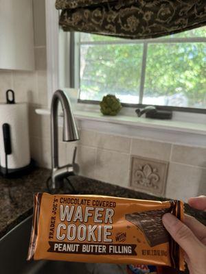 Trader Joe's Wafer PB Cookie (soooo gooood)