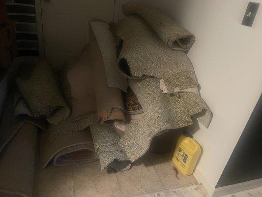 The pile of carpet that I pulled up all by myself.