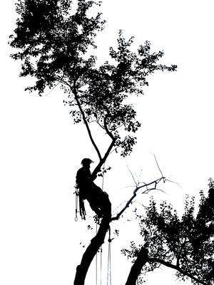 A silhouette of our climber, which is now a part of our logo