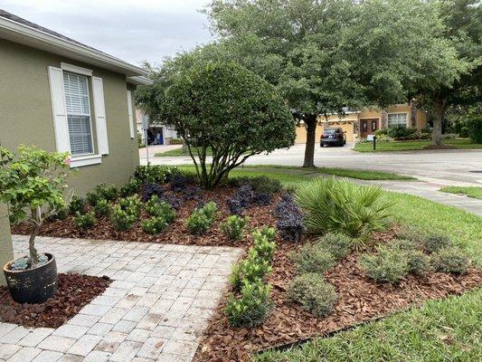 Landscape renovation