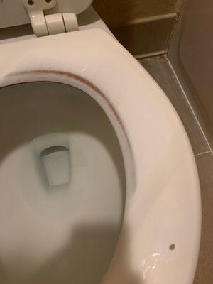 Motel couldn't even be bothered to replace a worn out toilet seat.