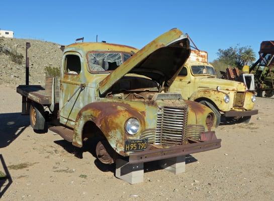 LOVE awesome old trucks!!!  There are LOTS of them...with LIZARDS even!!!