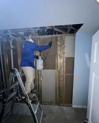 Mold Remediation