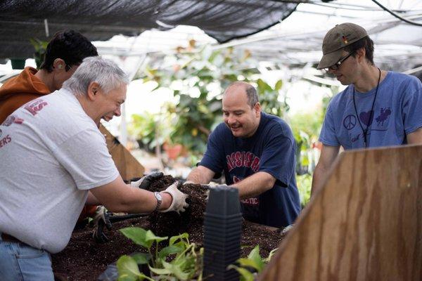 Our residents work in the greenhouse as part of our Training & Education program.