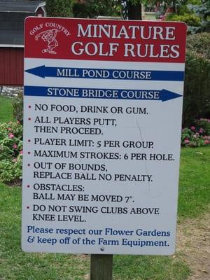 Mini Golf Rules 8/2010