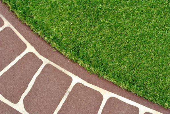 Putting Green Grass new York